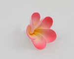 Single large pink plumeria frangipani sugar flower