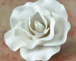 large 9 cm Rose White sq 500