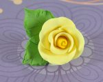 Small tea rose yellow with 2 leaves