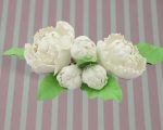 5 single peony with leaves white