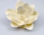 Large white magnolia sugar flowers