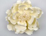 Extra large white open peony sugar flower