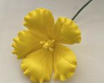 Hibiscus-yellow-sugar-flowers